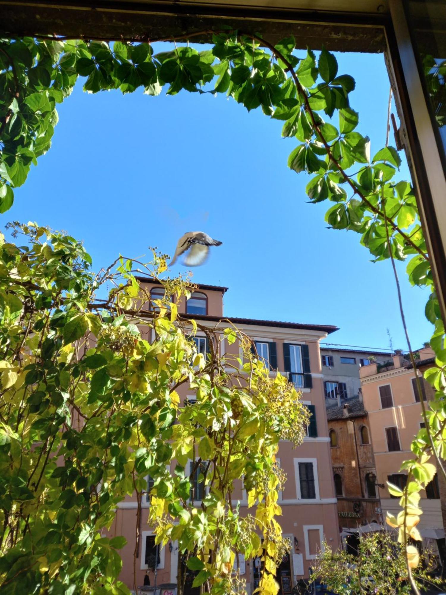 Central Apartment In Trastevere روما الغرفة الصورة